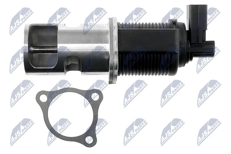 EGR-klapp, NTY EGR-NS-001