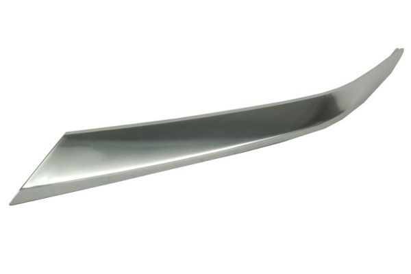 Product Apdare-/Aizsarguzlika, Radiatora reste BLIC 6502-07-3184211PP Image