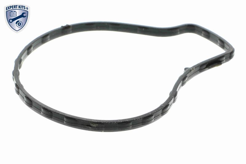 ACKOJA A70-50006 Water Pump, engine cooling