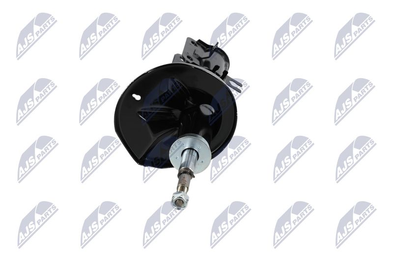 Amort, NTY A-CH-053