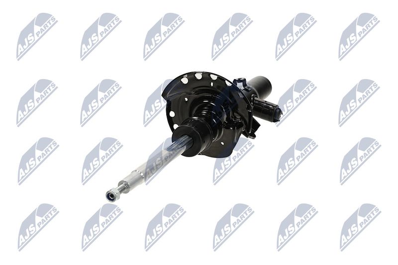 Amort, NTY A-LR-032