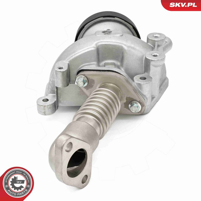 ESEN SKV 14SKV257 EGR Valve