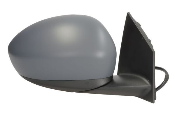 BLIC 5402-07-2590311P Exterior Mirror