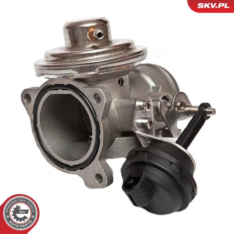 EGR-klapp, ESEN SKV 14SKV020