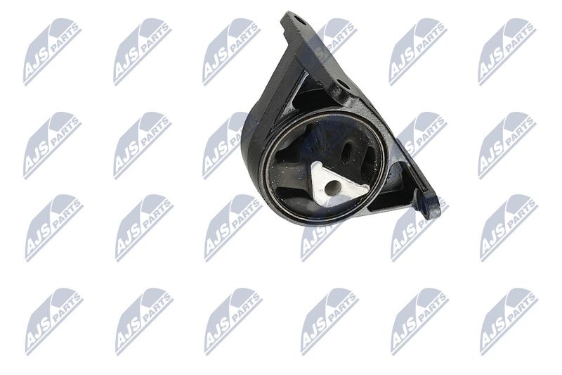 Paigutus, Mootor, NTY ZPS-CH-006