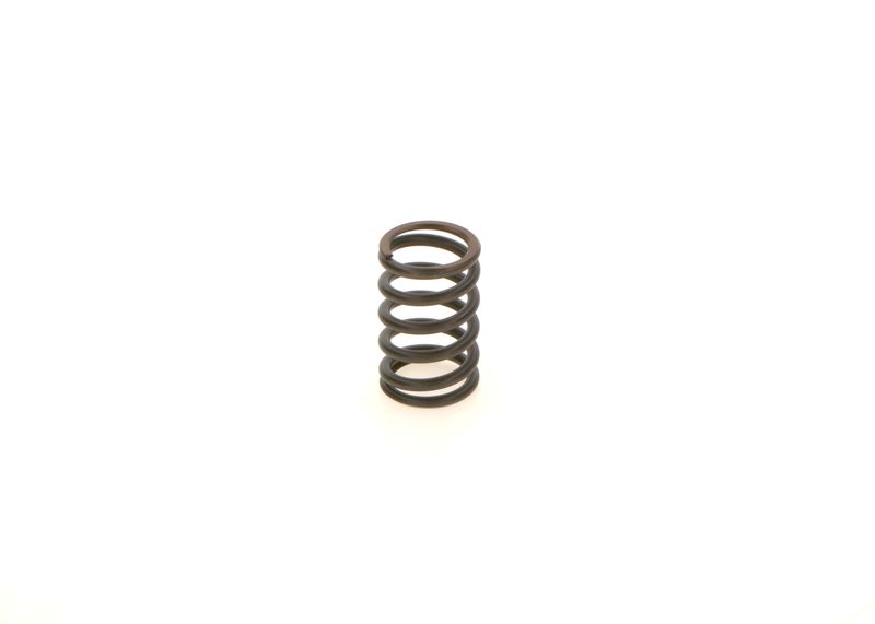 BOSCH 1414619025 Spring