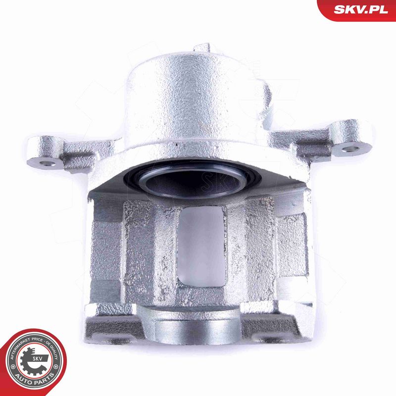 ESEN SKV 55SKV102 Brake Caliper