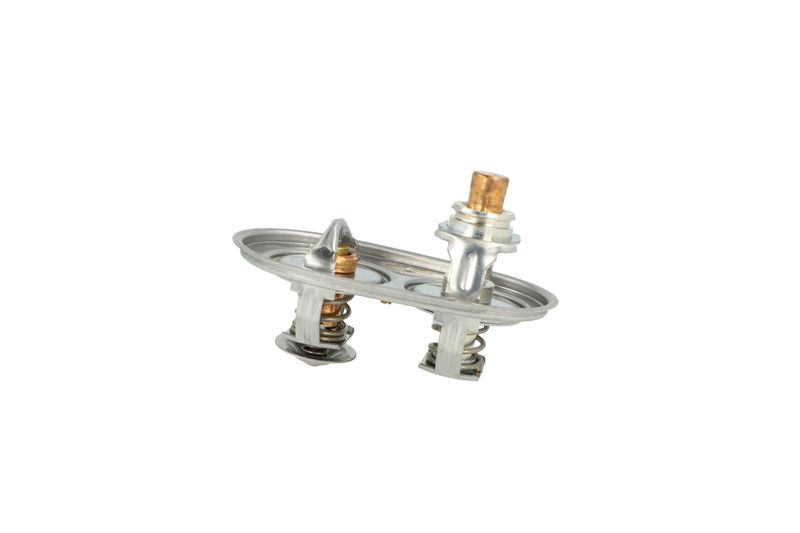 Termostat, chladivo 725393