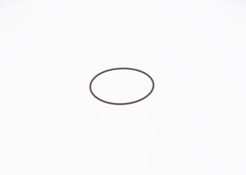 Inel de etansare F 01M 100 371 BOSCH