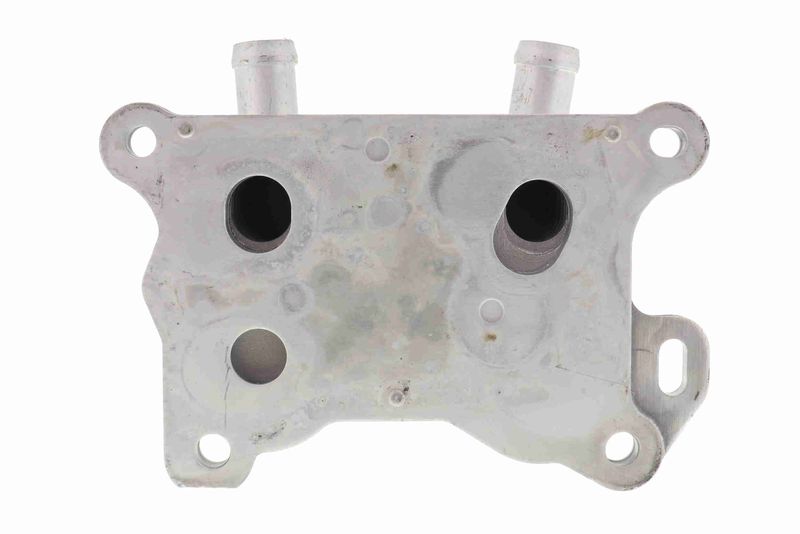 VEMO V38-60-0004 Oil Cooler, engine oil