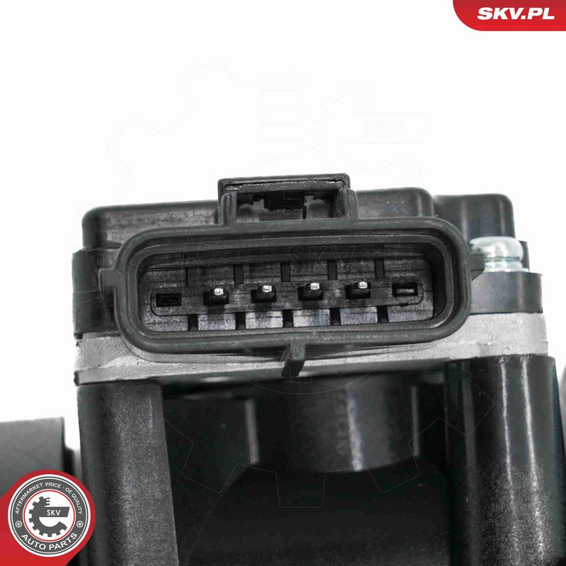 ESEN SKV 07SKV149 Mass Air Flow Sensor