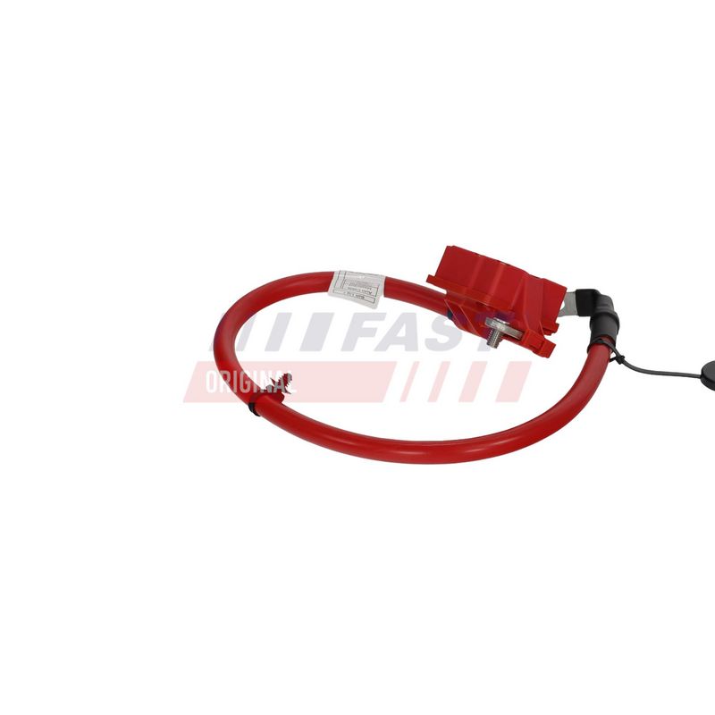 FAST FT01796 Akumuliatoriaus klemo adapteris