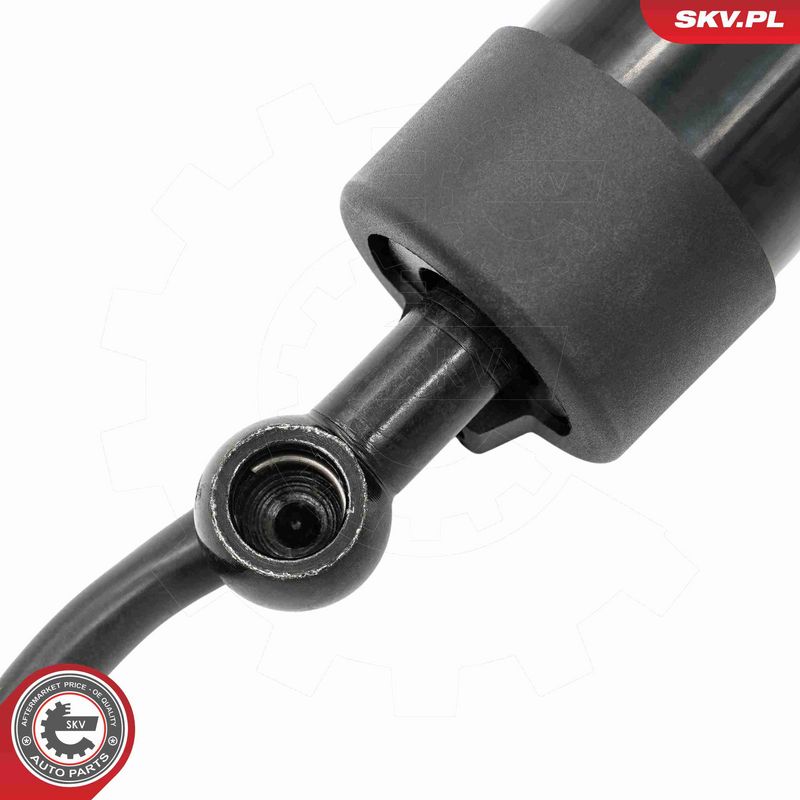 ESEN SKV 52SKV262 Electric Motor, tailgate