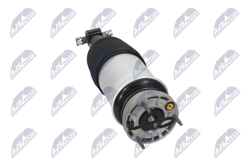 Amort, NTY A-CH-098