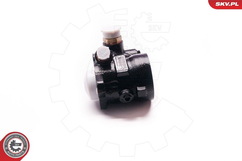 ESEN SKV 1SKV0003 Hydraulic Pump, steering