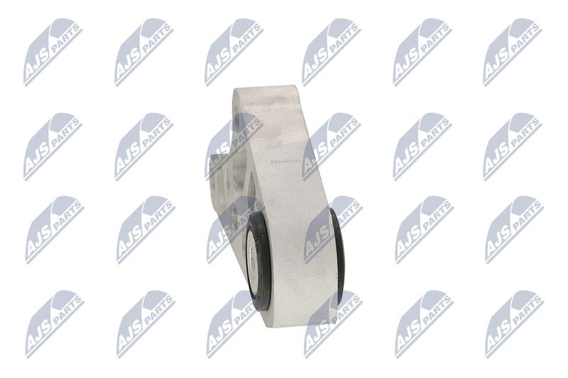 Paigutus, Mootor, NTY ZPS-CH-119