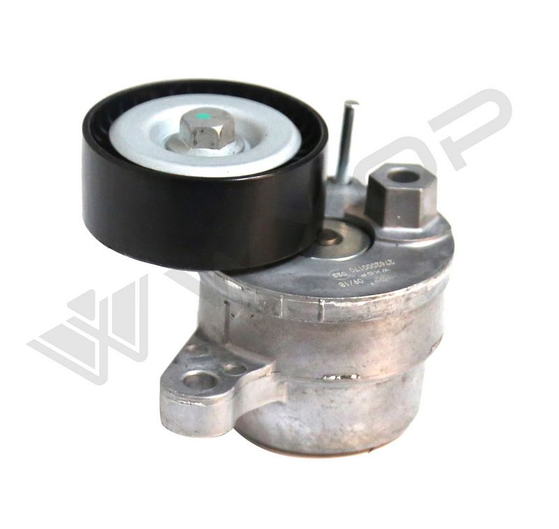 WXQP 111781 - Belt Tensioner, V-ribbed belt