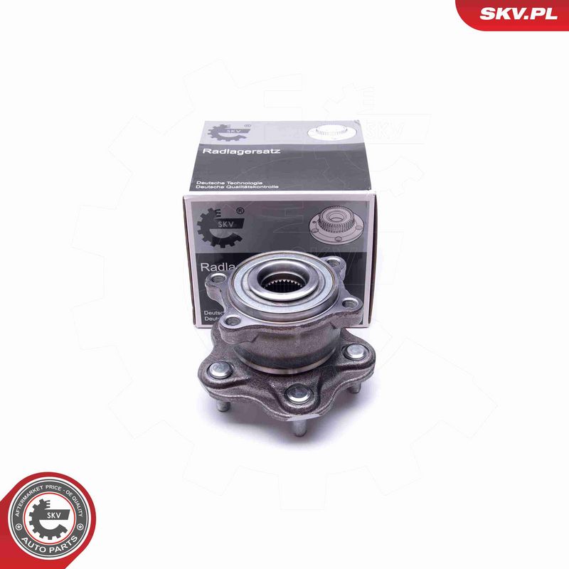 ESEN SKV 29SKV253 - Wheel Bearing Kit