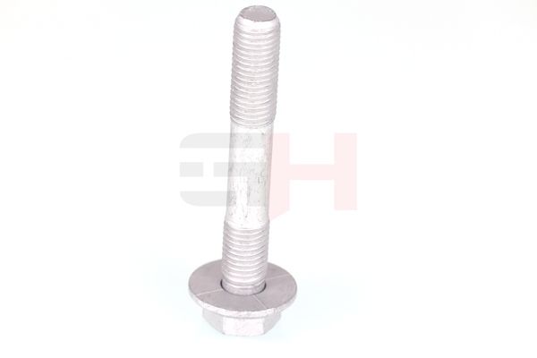 Kruvikomplekt, vedruamort-rattalaagrikorpus, GH GH-391561