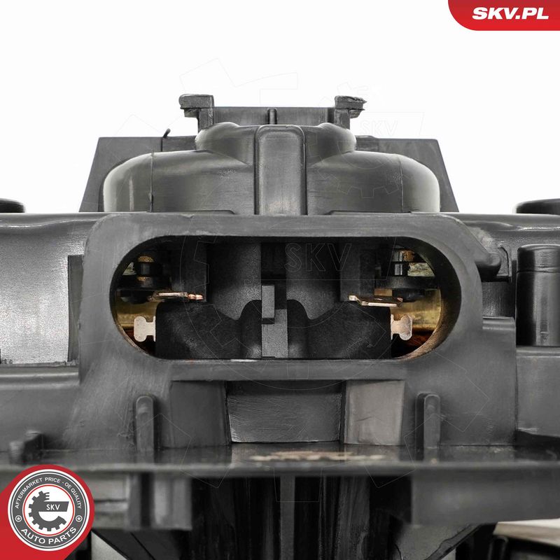 Salongipuhur, ESEN SKV...