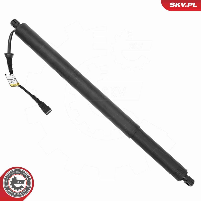 ESEN SKV 52SKV175 Electric Motor, tailgate