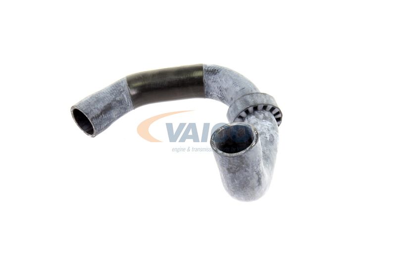VAICO V30-2220 Radiator Hose