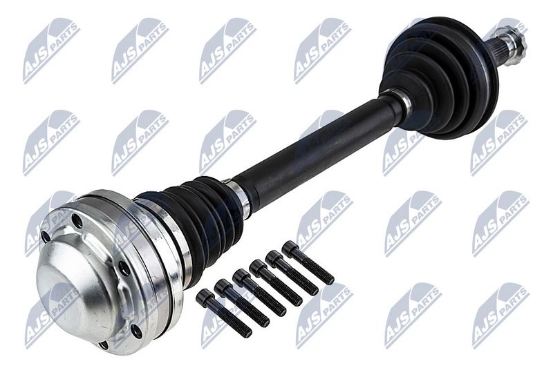 npw-vw-248_1-wm.JPG