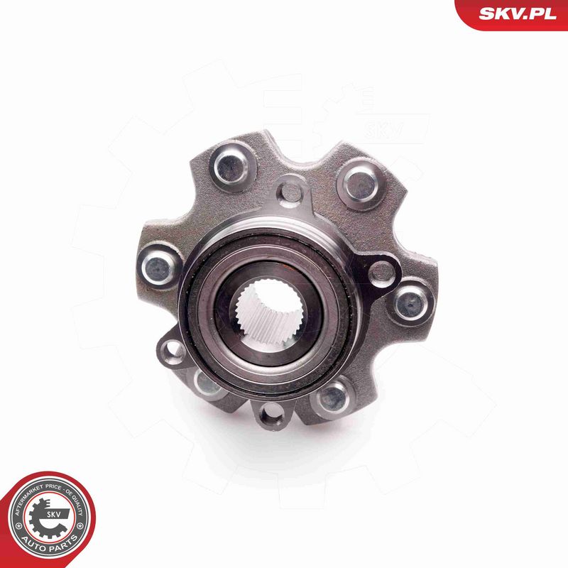 ESEN SKV 29SKV161 Wheel Bearing Kit