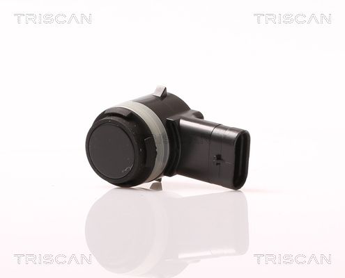 TRIS881529121.JPG