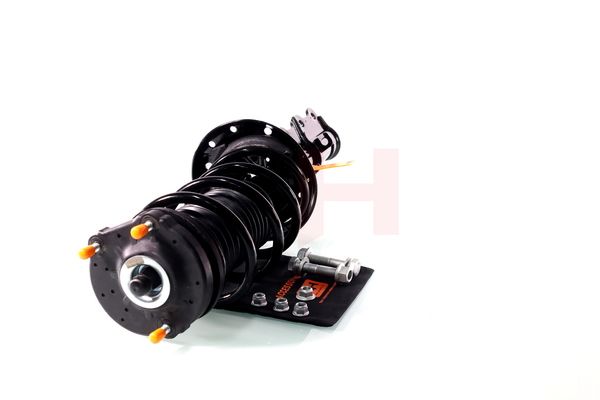 Vedruamort, GH GH-352388C01