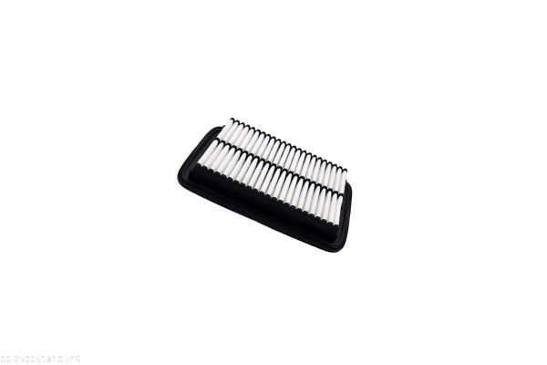 AUTOMEGA 250051810 Air Filter