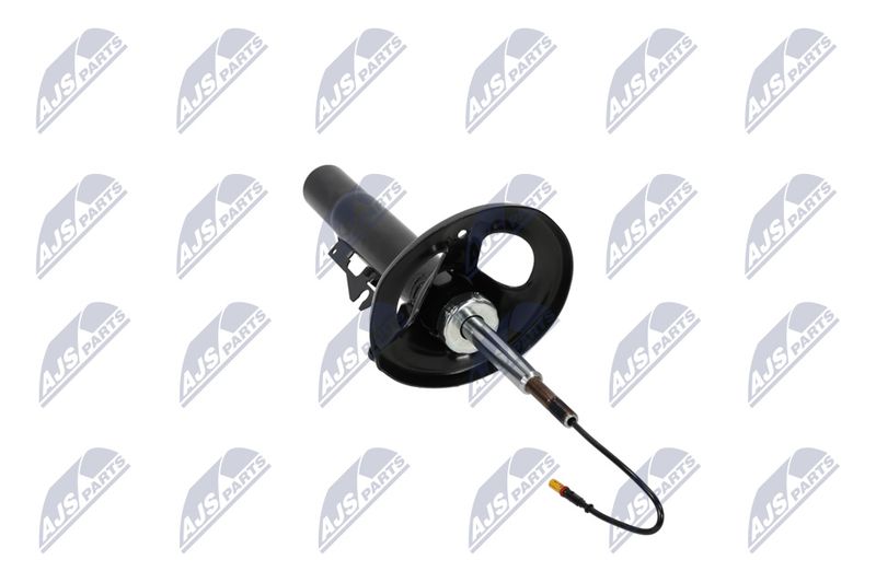 Amort, NTY A-PS-012