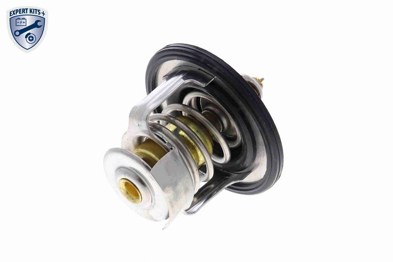 ACKOJA A54-99-0003 Thermostat, coolant