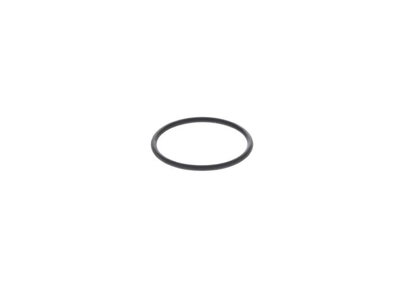 BOSCH 1 420 210 025 Rubber Ring