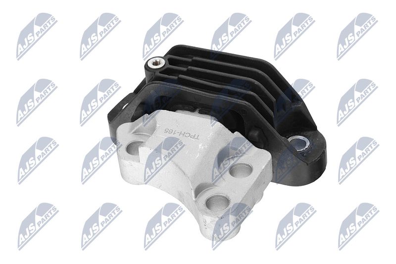 Paigutus, Mootor, NTY ZPS-CH-165