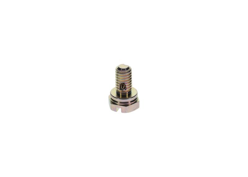 Surub 1 413 453 025 BOSCH