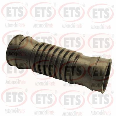 маншон, полуоска ETS
