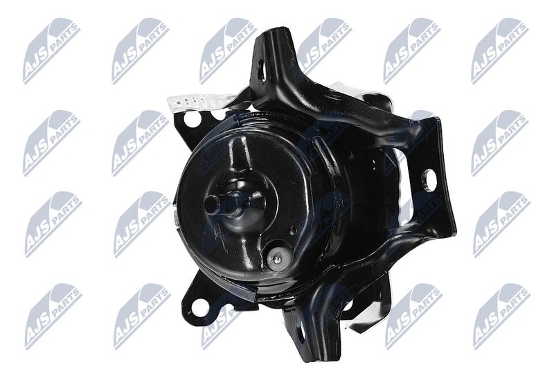 Paigutus, Mootor, NTY ZPS-CH-150