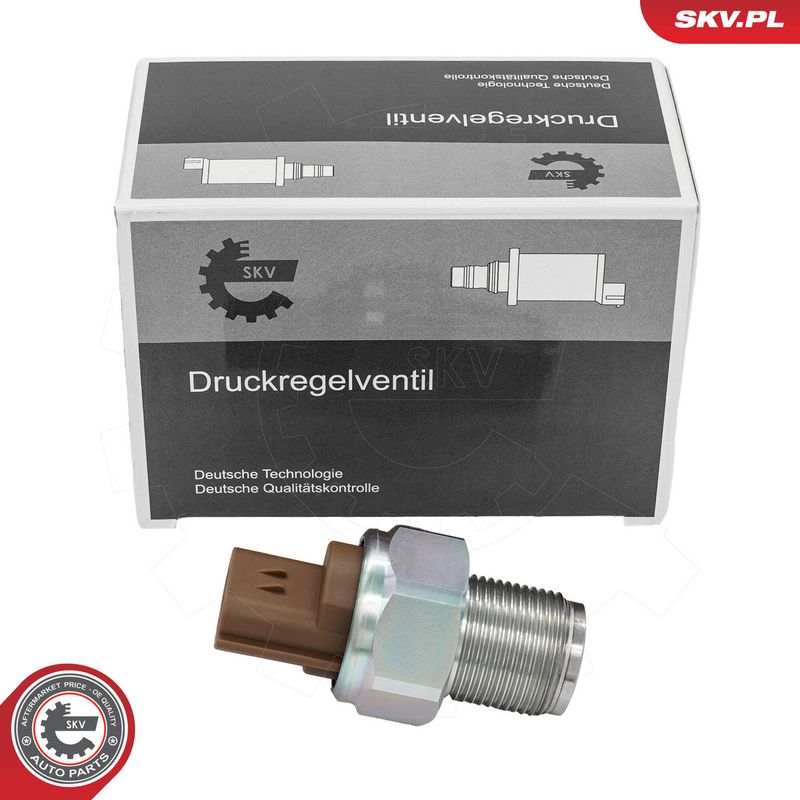 Andur, kütuserõhk, ESEN SKV 95SKV171
