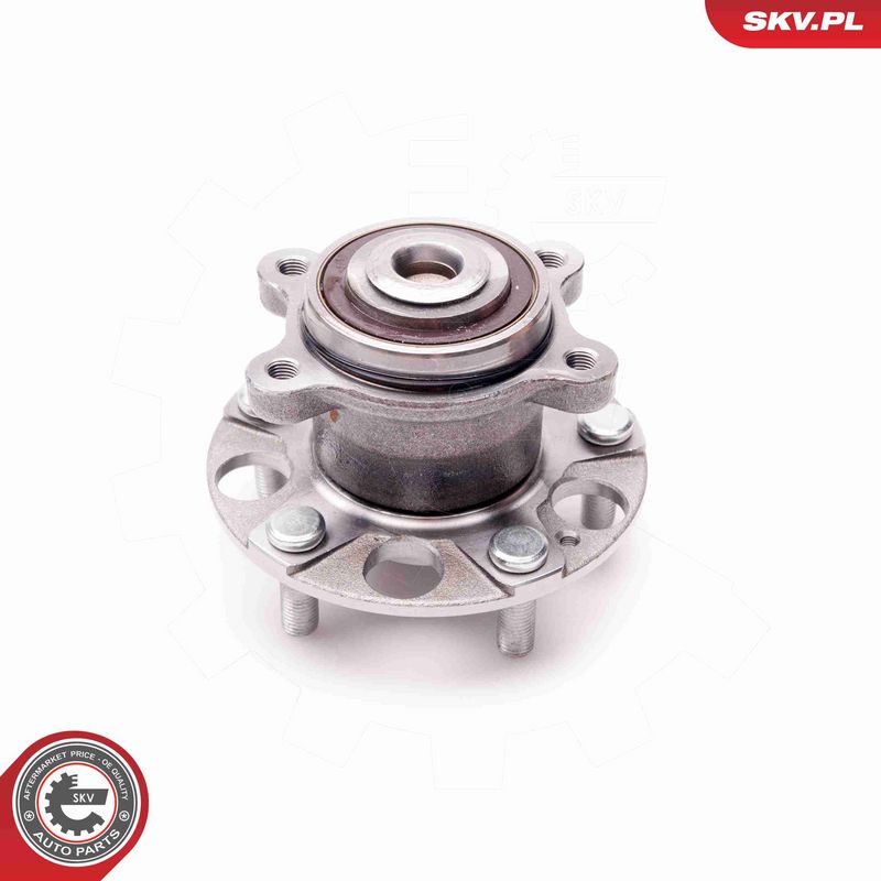 ESEN SKV 29SKV171 Wheel Bearing Kit