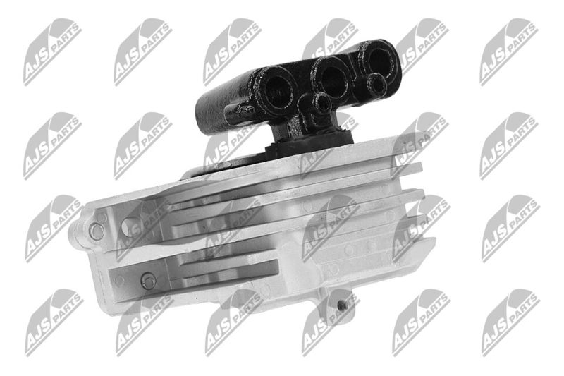 Paigutus, Mootor, NTY ZPS-CH-103