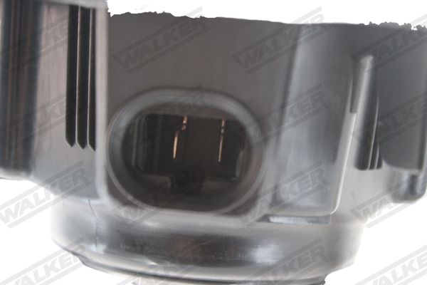 wbl00816_5350013.JPG