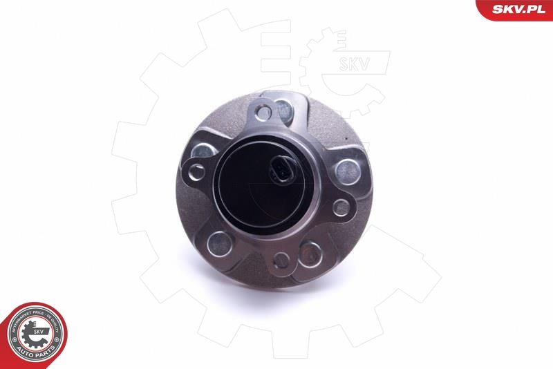 ESEN SKV 29SKV497 Wheel Bearing Kit