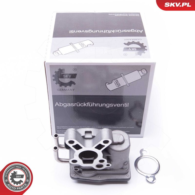 EGR-klapp, ESEN SKV 14SKV102