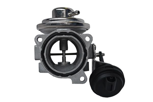 ASAM AUTOMOTIVE 74182 EGR Valve