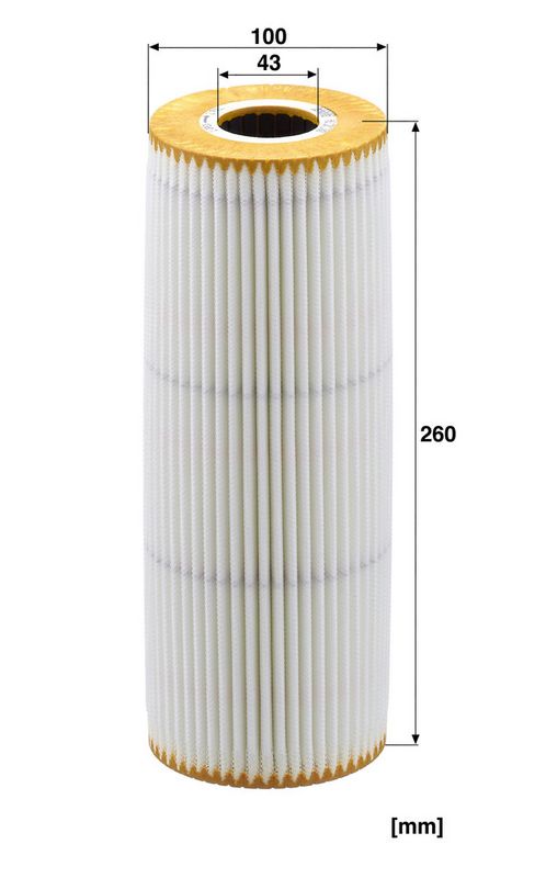 Oliefilter (patroon) past: IVECO S-WAY, T-WAY, X-WAY F3XGE611A-F3XGE611D 11.23-