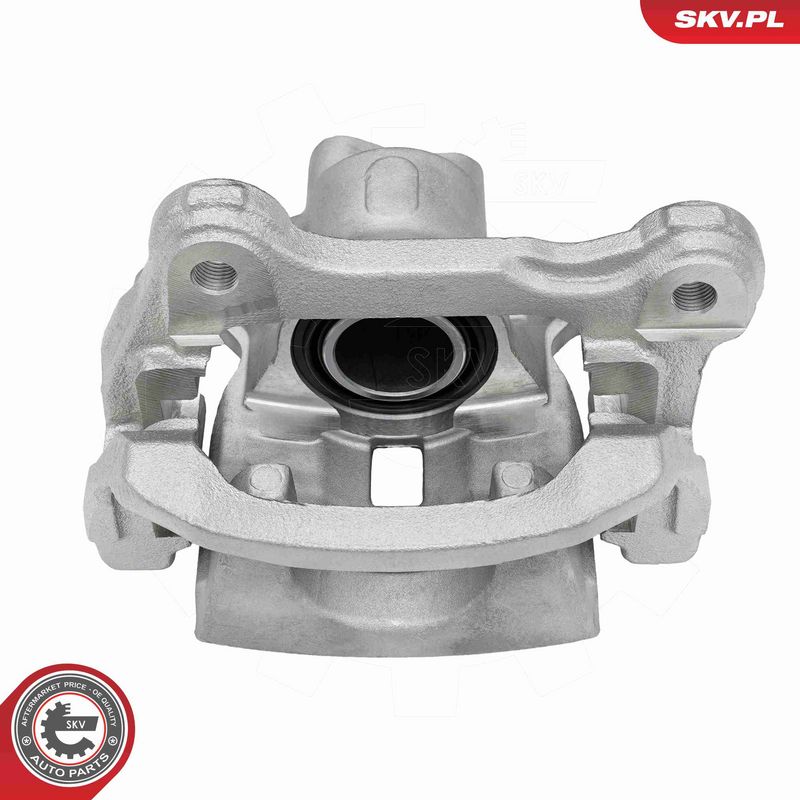 ESEN SKV 79SKV173 Brake Caliper