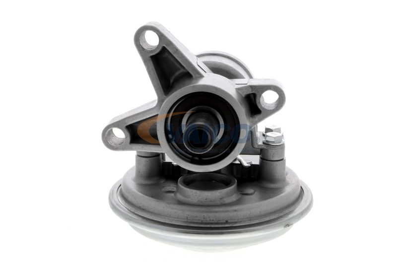 VAICO V25-1907 Mounting, engine