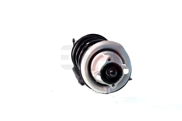 Vedruamort, GH GH-353364C01