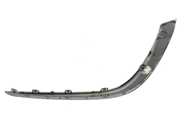 BLIC 5703-05-3555911P Trim/Protection Strip, bumper